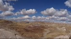 PETRIFIED FOREST