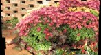Test_Flowerpot_Angle2