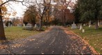 Deer in the Cemetery