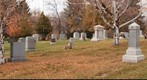 Fall Leaves and Deer in the Cemetery