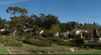 101109 Santa Barbara Postel rose garden Plaza Rubio from Laguna end