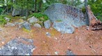 Along the way to French's Ledge