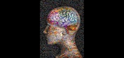65049-400x189