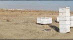 California Honey Bee Sampling 2010 Gigapan #1