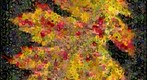 Photomosaic of an oak leaf in autumn colors