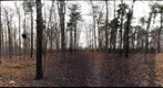 Dairy Bush GigaPan - 64 - Nov 17 2010