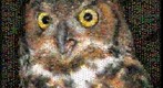 Photomosaic image of a great horned owl