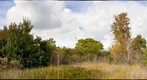Haney Creek Trail