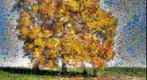 Photomosaic of a hickory tree in autumn foliage