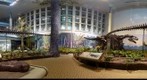 Dinosaur Exhibit at Carnegie Museum of Natural History - in 3D Stereo
