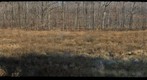 University of Chicago new Michigan Field Site