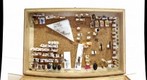  Hemipteran collection box Test 06