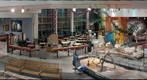 The Science Museum of Minnesota