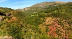 Vall Fosca