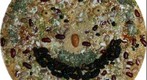 Mother Nature's Son - test 1