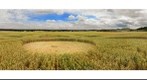 crop circle