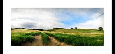 65537-400x189