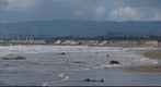 101121 Goleta, Haskell beach, looking west to Refugio and Graviota, California