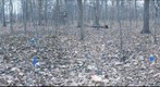 Bishop Woods, Miami University, Oxford, OH