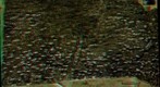 Arthrobotrys (R/C-anaglyph)