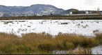 Laguna de Meco
