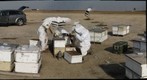 California Honey Bee Sampling 2010 Gigapan #6