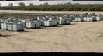 California Honey Bee Sampling 2010 Gigapan #9