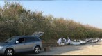 California Honey Bee Sampling 2010 Gigapan #14