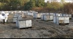 California Honey Bee Sampling 2010 Gigapan #17