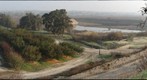 California Honey Bee Sampling 2010 Gigapan #18