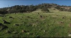 California Honey Bee Sampling 2010 Gigapan #20