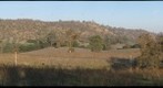 California Honey Bee Sampling 2010 Gigapan #21