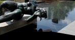 woman in pool