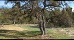Stereo 360