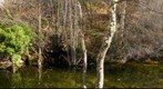 La Puente Nueva de Candelario (Salamanca)