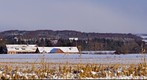 Danish snow landscape
