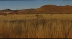 Southeast Arizona Roadside