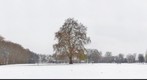 Hackney downs snow