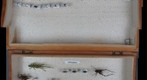 NCSU ENT 502 (Insect Systematics) Collection - Jimmy 3