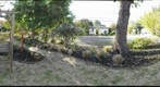 LJ front yard shot 1