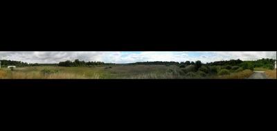 6633-400x189