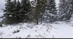 A View of Snowy Dublin From the Dublin Mountains