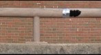 360 Panorama, McClung building (University of Tennessee)