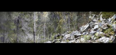 66491-400x189