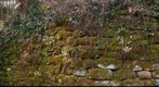 Livzey Dam Wall