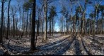 Dairy Bush GigaPan - 67 - Dec 08 2010