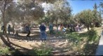Community garden Jaffa