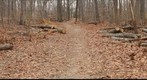 Path Trees- Left