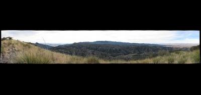 66787-400x189