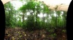 101130 - Area de Conservacion de Guanacaste (ACG), Costa Rica, Volcan Cacao, Estacion Cacao, 1050 m 